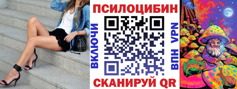 Купить  Тверь  Псилоцибиновые грибы GOLDEN TEACHER 